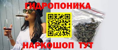 мдпв Анапа