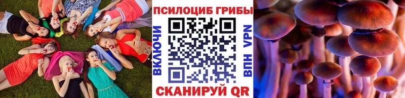 Псилоцибиновые грибы Magic Shrooms  Одинцово 