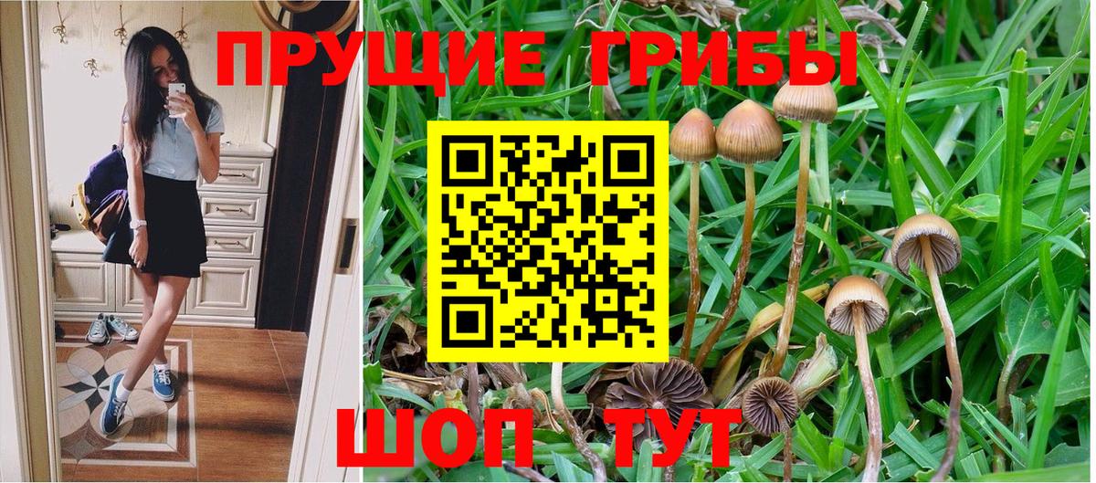 Псилоцибиновые грибы Magic Shrooms  Вход с VPN  Псилоцибиновые грибы MAGIC MUSHROOMS  Одинцово 