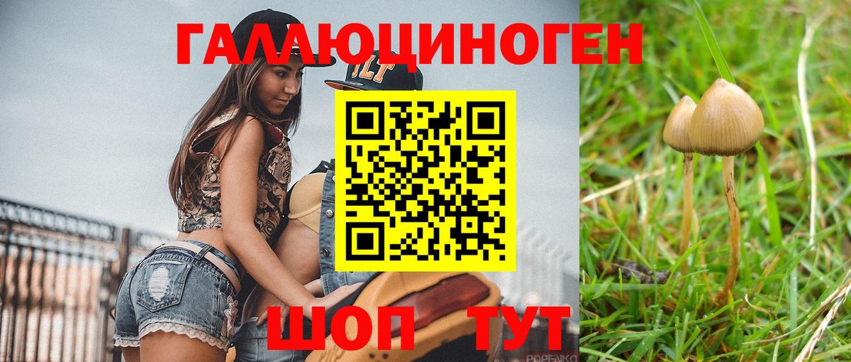 Псилоцибиновые грибы мицелий Одинцово